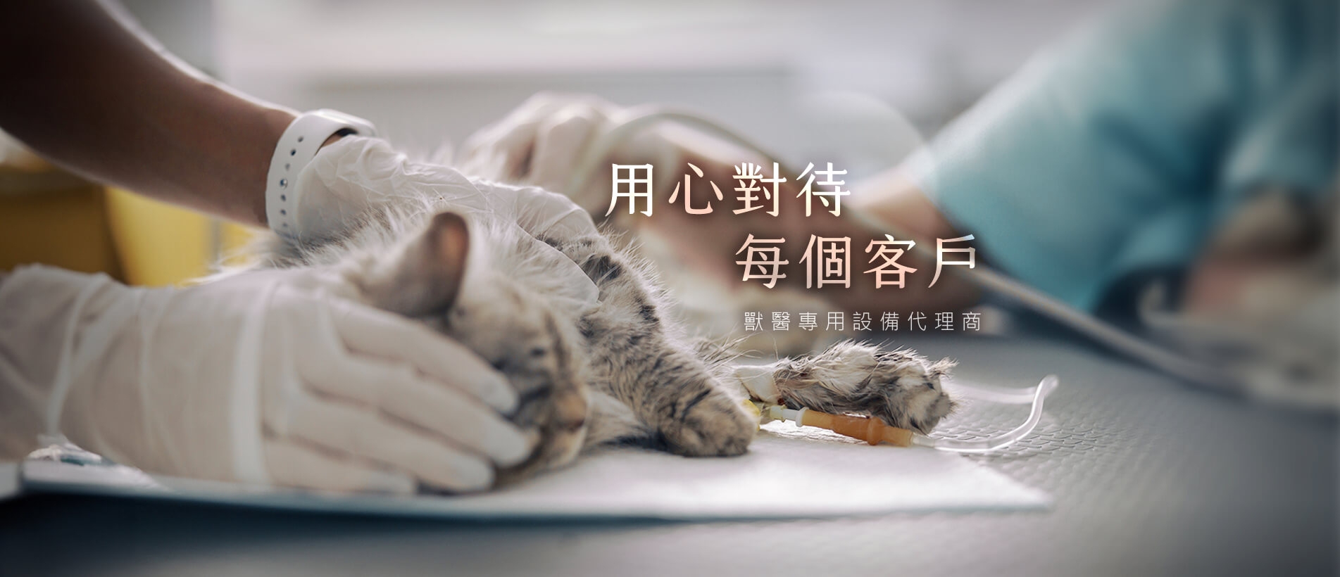 1903X820_r1_c1.jpg 1903X820_r1_c1.jpg